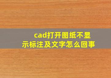 cad打开图纸不显示标注及文字怎么回事