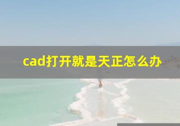 cad打开就是天正怎么办