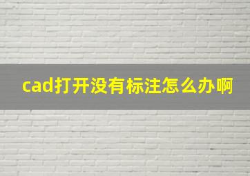 cad打开没有标注怎么办啊