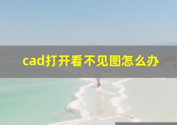 cad打开看不见图怎么办