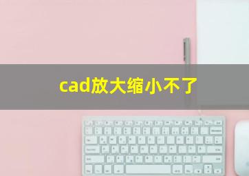 cad放大缩小不了