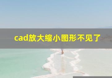 cad放大缩小图形不见了