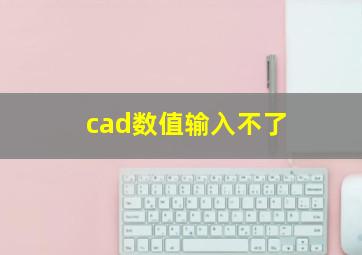 cad数值输入不了