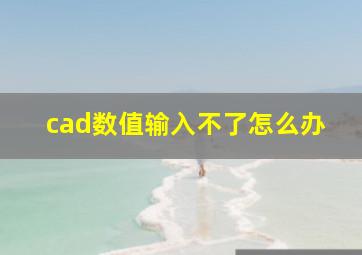 cad数值输入不了怎么办