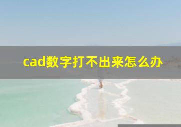 cad数字打不出来怎么办