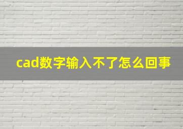 cad数字输入不了怎么回事