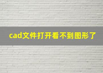 cad文件打开看不到图形了