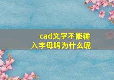 cad文字不能输入字母吗为什么呢