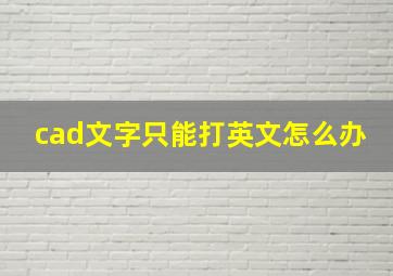 cad文字只能打英文怎么办