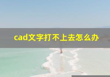 cad文字打不上去怎么办