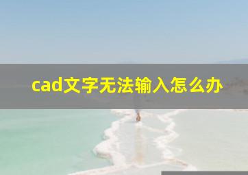 cad文字无法输入怎么办