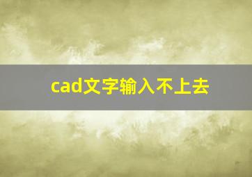 cad文字输入不上去