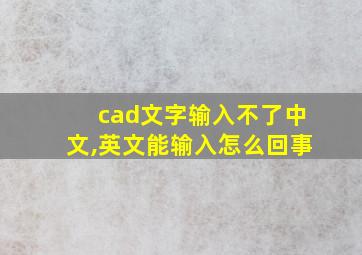 cad文字输入不了中文,英文能输入怎么回事