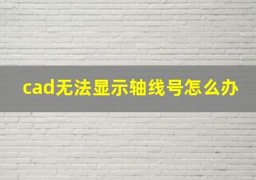 cad无法显示轴线号怎么办