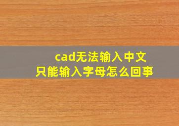 cad无法输入中文只能输入字母怎么回事