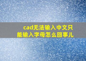 cad无法输入中文只能输入字母怎么回事儿