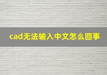 cad无法输入中文怎么回事