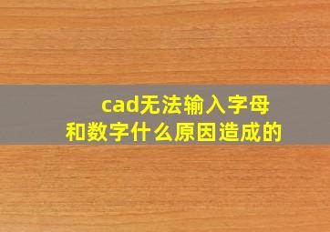 cad无法输入字母和数字什么原因造成的