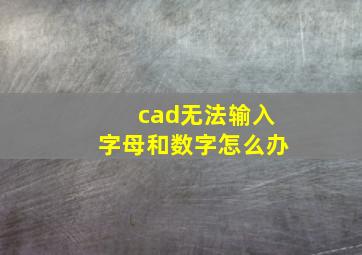 cad无法输入字母和数字怎么办