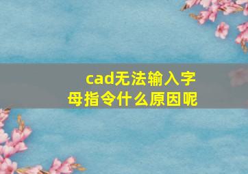 cad无法输入字母指令什么原因呢