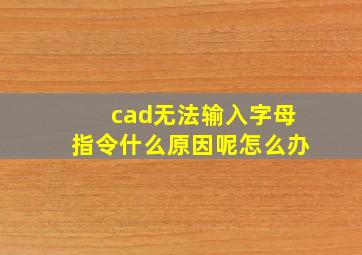 cad无法输入字母指令什么原因呢怎么办