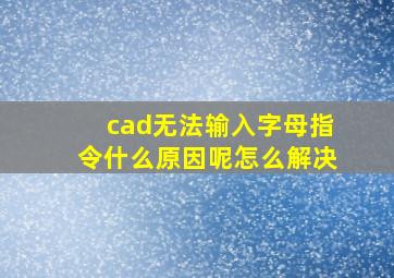 cad无法输入字母指令什么原因呢怎么解决