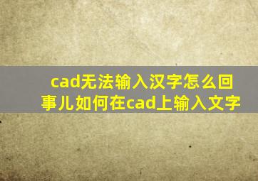 cad无法输入汉字怎么回事儿如何在cad上输入文字