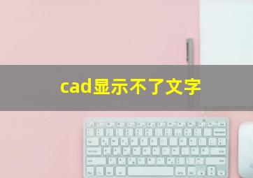 cad显示不了文字