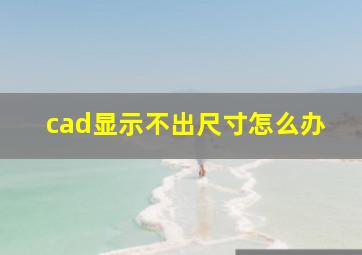 cad显示不出尺寸怎么办