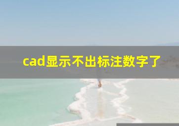 cad显示不出标注数字了