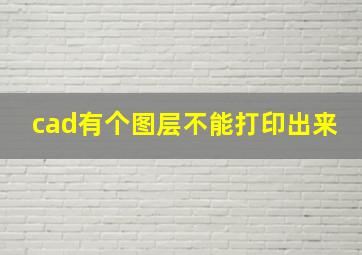 cad有个图层不能打印出来