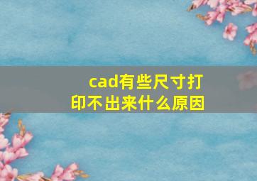 cad有些尺寸打印不出来什么原因