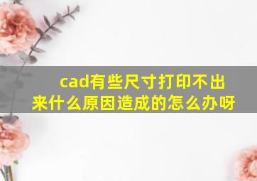 cad有些尺寸打印不出来什么原因造成的怎么办呀