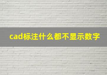 cad标注什么都不显示数字