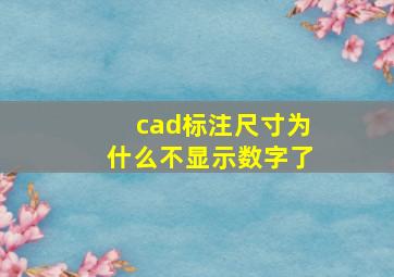 cad标注尺寸为什么不显示数字了