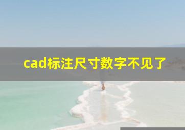 cad标注尺寸数字不见了