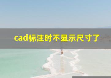 cad标注时不显示尺寸了