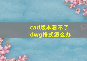 cad版本看不了dwg格式怎么办