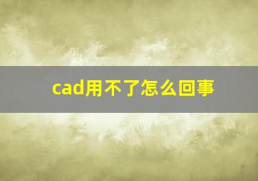 cad用不了怎么回事