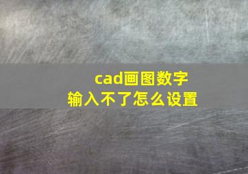 cad画图数字输入不了怎么设置