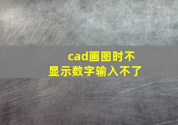 cad画图时不显示数字输入不了