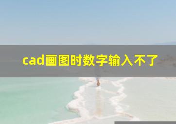 cad画图时数字输入不了