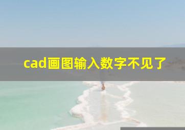 cad画图输入数字不见了