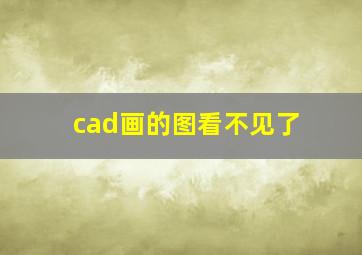 cad画的图看不见了