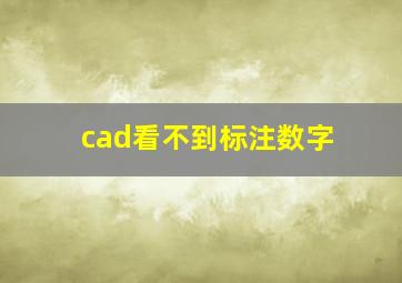 cad看不到标注数字