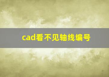 cad看不见轴线编号