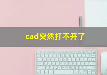 cad突然打不开了