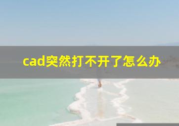 cad突然打不开了怎么办