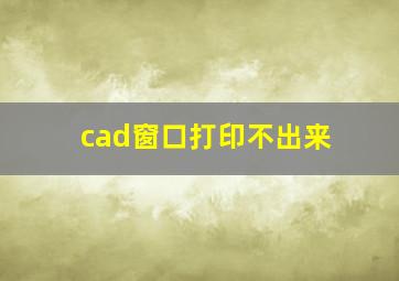 cad窗口打印不出来