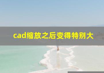 cad缩放之后变得特别大